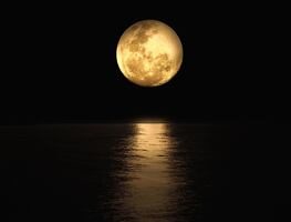 Dos Superlunas llenas y lluvias de meteoritos; las maravillas astronómicas imperdibles de agosto