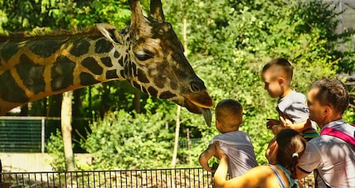 Datos para visitar el Zoológico Infantil de Fort Wayne en Indiana