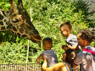 Datos para visitar el Zoológico Infantil de Fort Wayne en Indiana