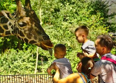 Datos para visitar el Zoológico Infantil de Fort Wayne en Indiana
