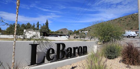 Caso LeBarón. Entre gritos y balas, niños sobrevivieron a matanza