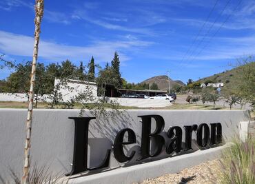 Caso LeBarón. Entre gritos y balas, niños sobrevivieron a matanza