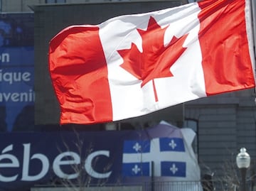 Canadá lanza oferta de trabajo para ingenieros en Informática mexicanos