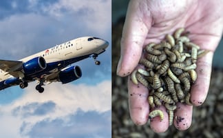 Lluvia de gusanos aterra a pasajeros en vuelo de Delta Air Lines: ‘’caían sobre la cabeza’’, aseguran