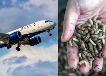 Lluvia de gusanos aterra a pasajeros en vuelo de Delta Air Lines: ‘’caían sobre la cabeza’’, aseguran
