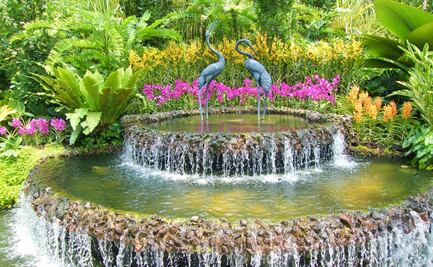 Visita la exhibición de orquídeas en el Jardín Botánico de NY