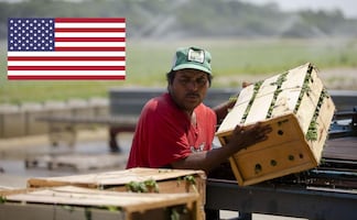 No se requiere universidad: así son las visas H que Estados Unidos daría a mexicanos