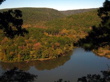 Así es el Bosque Nacional de Ozark