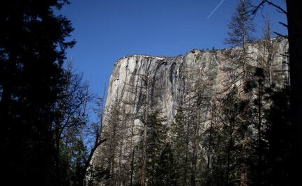 Alertan por brote de virus muy contagiosos en Parque Nacional de Yosemite