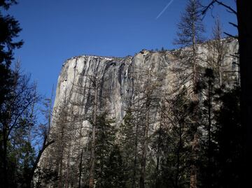 Alertan por brote de virus muy contagiosos en Parque Nacional de Yosemite
