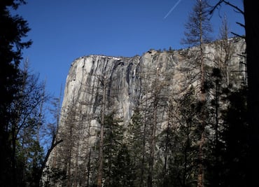Alertan por brote de virus muy contagiosos en Parque Nacional de Yosemite
