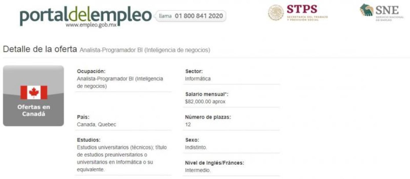Oferta de trabajo en Canadá: solicitan analista-programador por $82,000 
