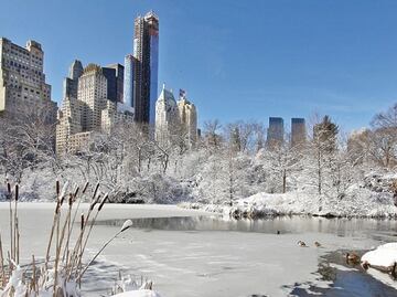 Los destinos más baratos para viajar a EU en febrero