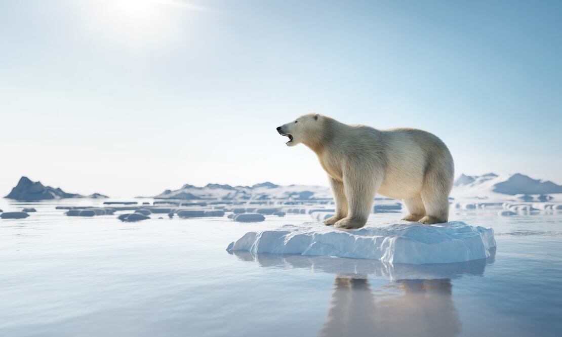 Crisis climática provocará eventos extremos en la Antártida, asegura investigación. Foto: iStock-NiseriN
