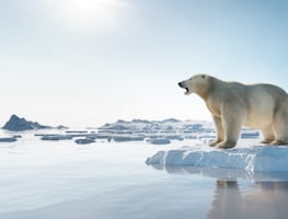 Estudio advierte sobre eventos extremos en la Antártida desatados por la crisis climática