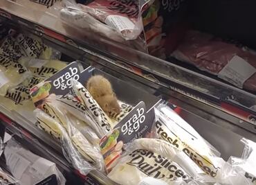 Graban a rata comiendo queso en estante de supermercado en Illinois