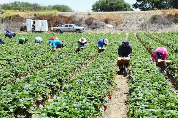 Buscan mexicanos para trabajar en Estados Unidos: Pagan $35,000 y sólo piden primaria 