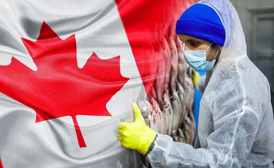 Trabajo en Canadá. Foto: iStock