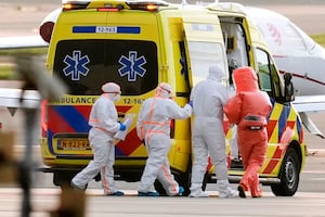 ¿Hantavirus, el próximo COVID? Esto dice la OMS sobre el brote mortal del virus de los Andes en un crucero