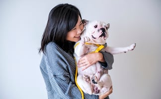 ¿No les gusta? Razones por las que no deberías abrazar a tu perro