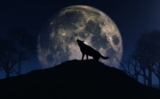 Luna llena del lobo y los primeros eventos astronómicos del 2023 imperdibles de enero 