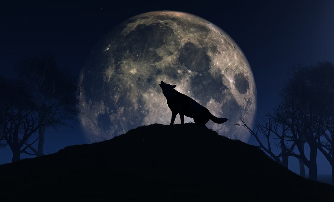 Luna llena del lobo y los primeros eventos astronómicos del 2024. Foto: iSTOCK/kirstypargeter
