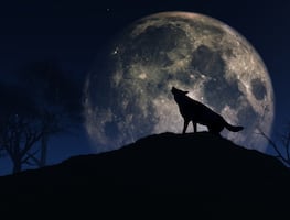 Luna llena del Lobo y lluvia de meteoritos Cuadrántidas; los eventos astronómicos imperdibles de enero