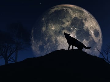 Luna llena del Lobo y lluvia de meteoritos Cuadrántidas; los eventos astronómicos imperdibles de enero