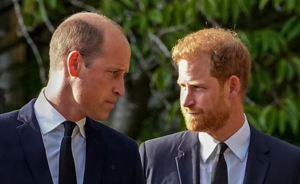 ¡William dice NO a Harry! El príncipe se niega a compartir eventos públicos con su hermano