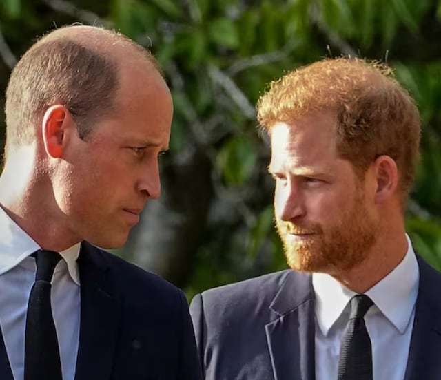 “Celoso y mimado”: fuentes revelan que Harry buscó opacar a William y le quiso robar la atención durante acto en Canadá