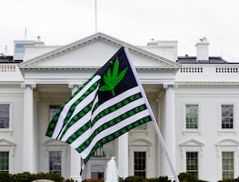Estados Unidos clasificará la marihuana como una droga de bajo riesgo