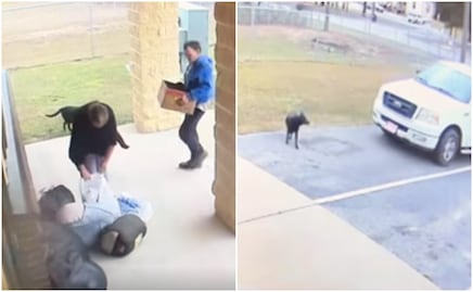 "Este video es difícil de ver". Captan a pareja abandonando a perrita y a sus crías