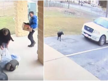 "Este video es difícil de ver". Captan a pareja abandonando a perrita y a sus crías