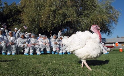 ¿Por qué el presidente de EU perdona a un pavo por Thanksgiving?