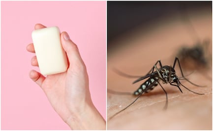 El jabón que usas puede hacerte más atractivo para los mosquitos