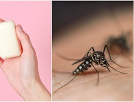 El jabón que usas puede hacerte más atractivo para los mosquitos