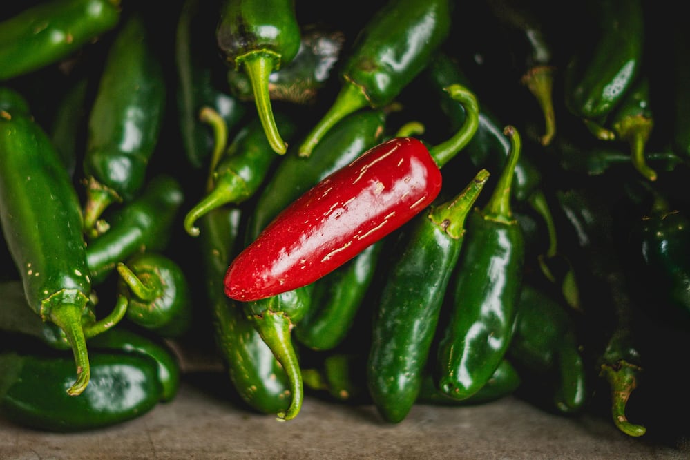 Taylor Farms retira jalapeños mexicanos en EU por brote de salmonela en 27 estados. Foto: Pexels