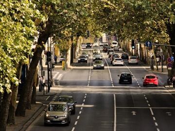 Mujer conduce por meses en EU con cadáveres de sobrinos en maleta