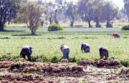 La visa para trabajar en el campo de EU