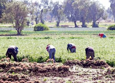 La visa para trabajar en el campo de EU
