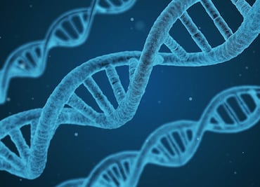 Adiós a la quimioterapia inútil: un nuevo test de ADN revela si fallará antes de empezar el tratamiento