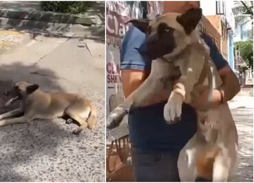 Mujer arrastra a perrito con su camioneta porque “rayó” su auto; asegura ser policía. VIDEO