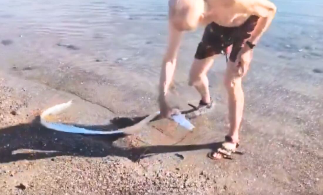 Avistamiento del pez remo gigante en playas de México preocupa a los habitantes. ¿Es peligroso el “pez del fin del mundo”? Foto: Captura redes sociales