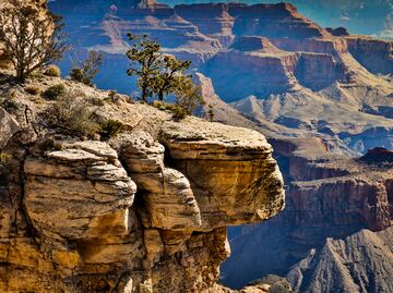 Tragedia en el Gran Cañón: Mujer fallece en una caminata bajo temperaturas de 100 grados Fahrenheit
