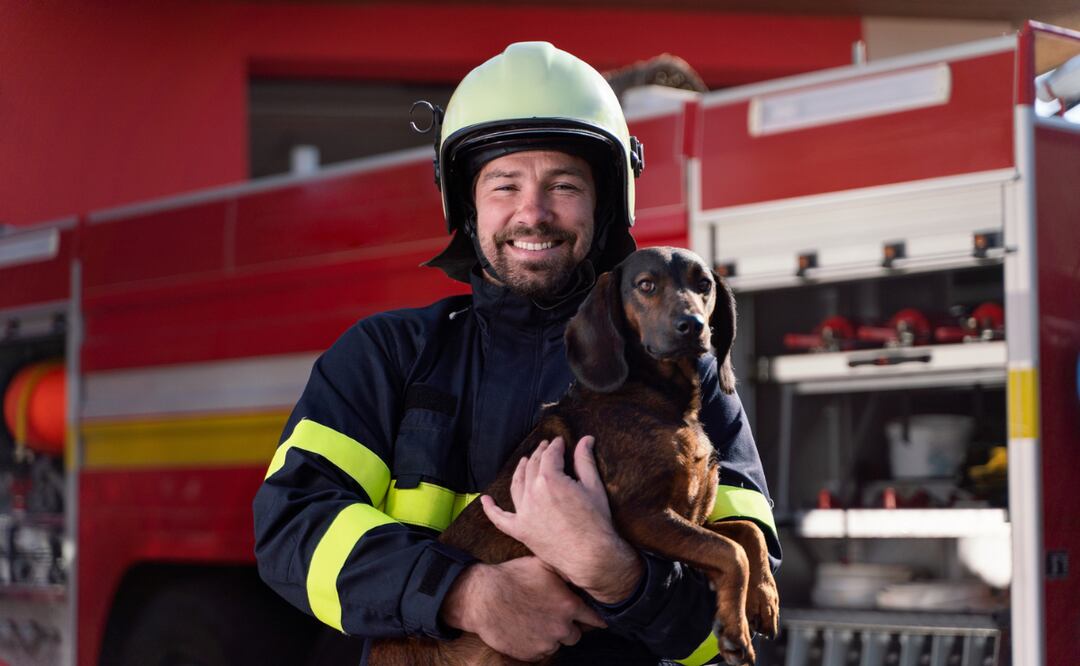 Día del bombero. ¿Cuál es su salario mensual en México?¿Cuántas horas trabajan? Foto: iStock/Halfpoint