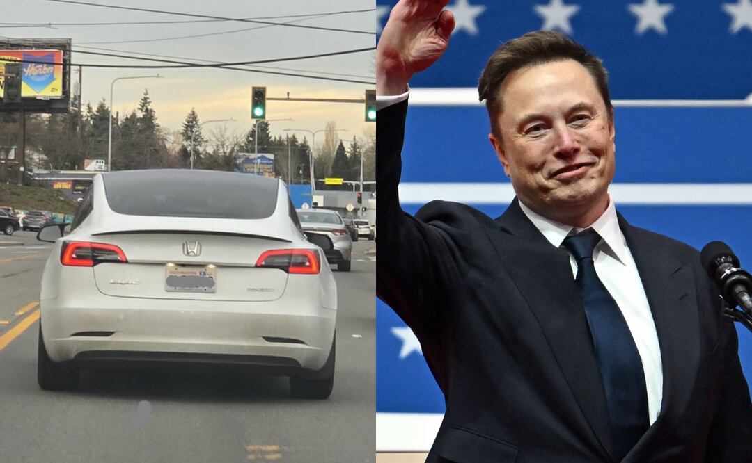 Propietarios de Teslas “disfrazan” sus autos por miedo a vandalismo vinculado a Musk. Foto: X/AFP