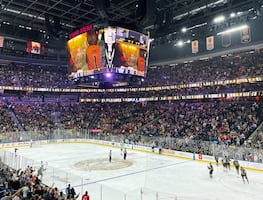 6 experiencias deportivas para hacer en Las Vegas, la "arena más grande del mundo"