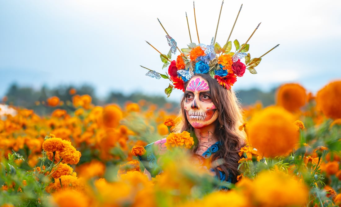 Cempasúchil. iStock/ Itza Villavicencio Urbieta