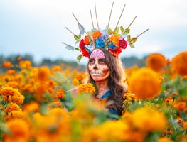 Día de Muertos 2024: ¿Qué significado tiene la flor de cempasúchil? ¿Por qué se pone en la ofrenda?