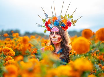 Día de Muertos 2024: ¿Qué significado tiene la flor de cempasúchil? ¿Por qué se pone en la ofrenda?